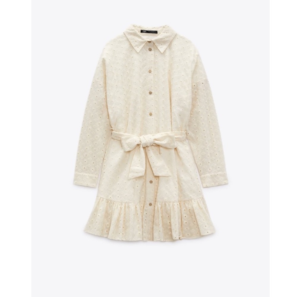 Zara Woman Cutwork Dress - Picture 7 of 7